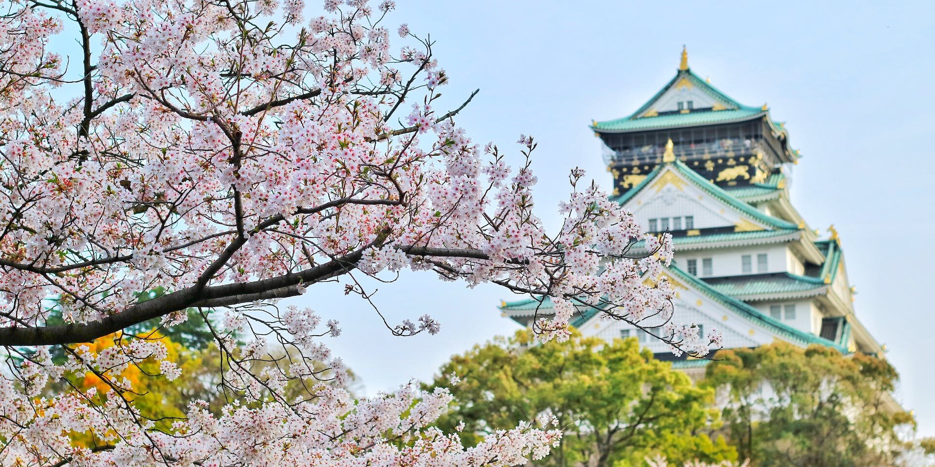 pexels-bagus-pangestu-1440476